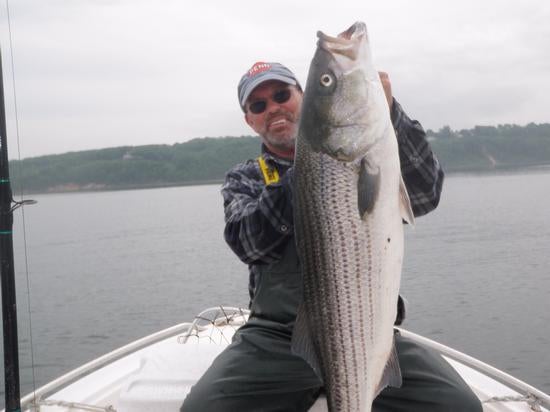 Cow Harbor Bait & Tackle Long Island Fishing Report.What's happening on  the water now!, Page 59