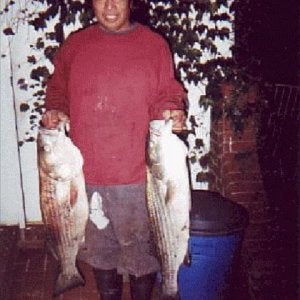Jamaica Bay,N.Y. This brace of bass fell to White buctails with